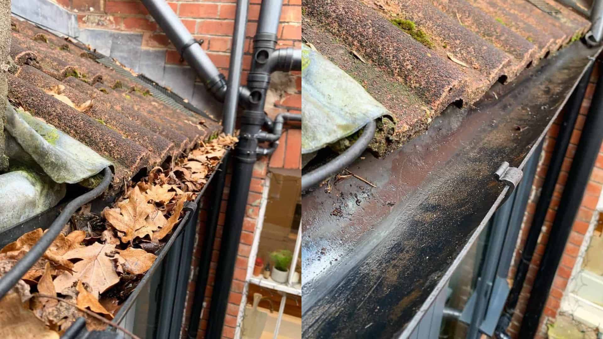 Gutter Clearing Services